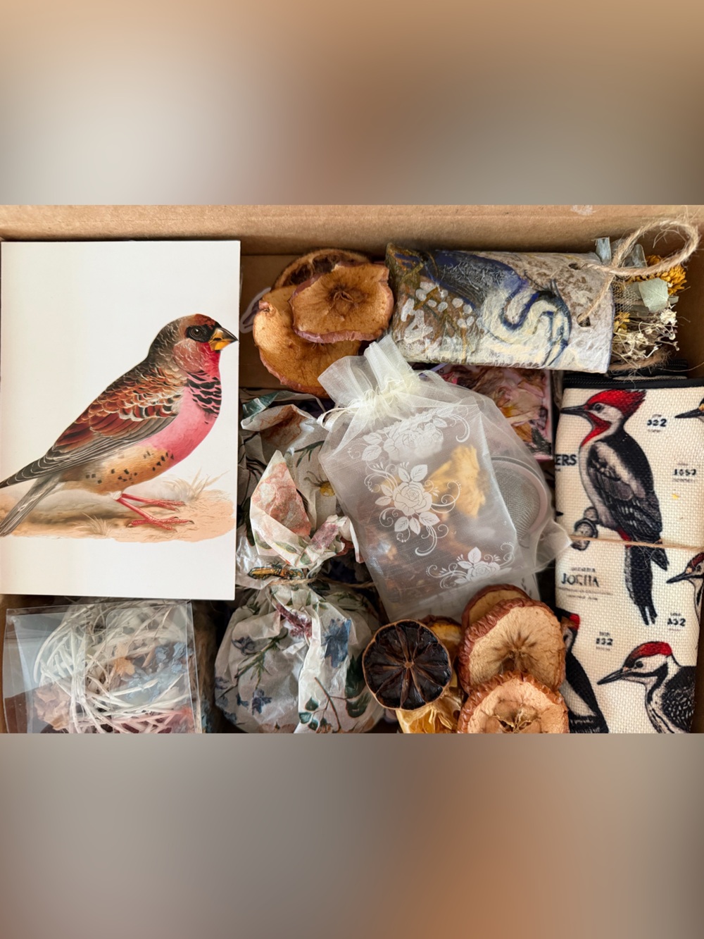 Unique Bird Nerd Revival  Botanical Gift Box - ONE ☝️ of a Kind 🦅 Made w/ Love